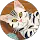 danita profile picture